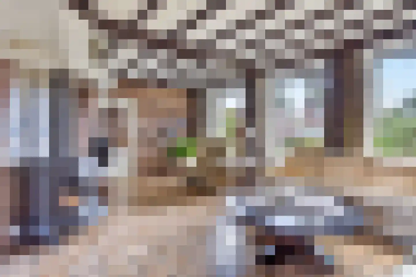 Voortseweg 28 b Eersel thumbnail 11