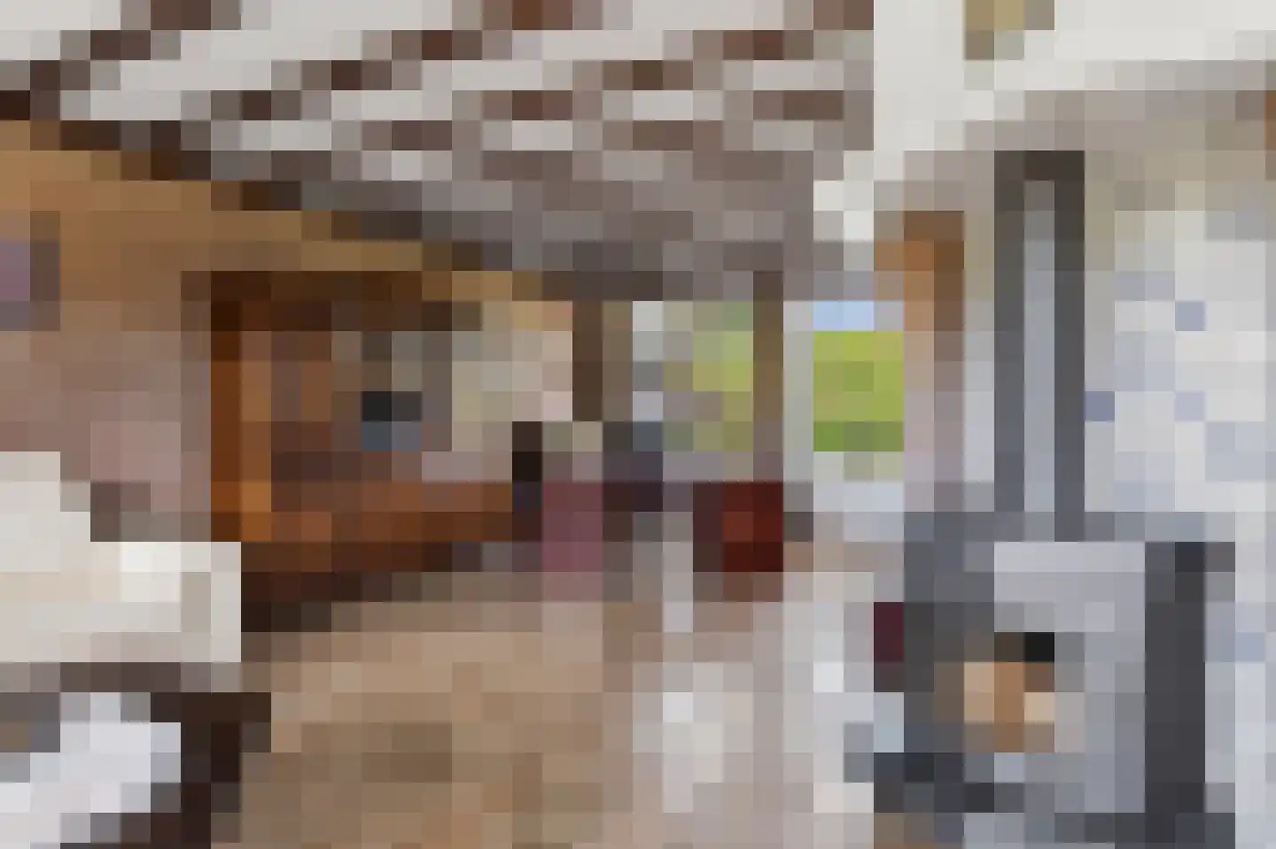Voortseweg 28 b Eersel thumbnail 12