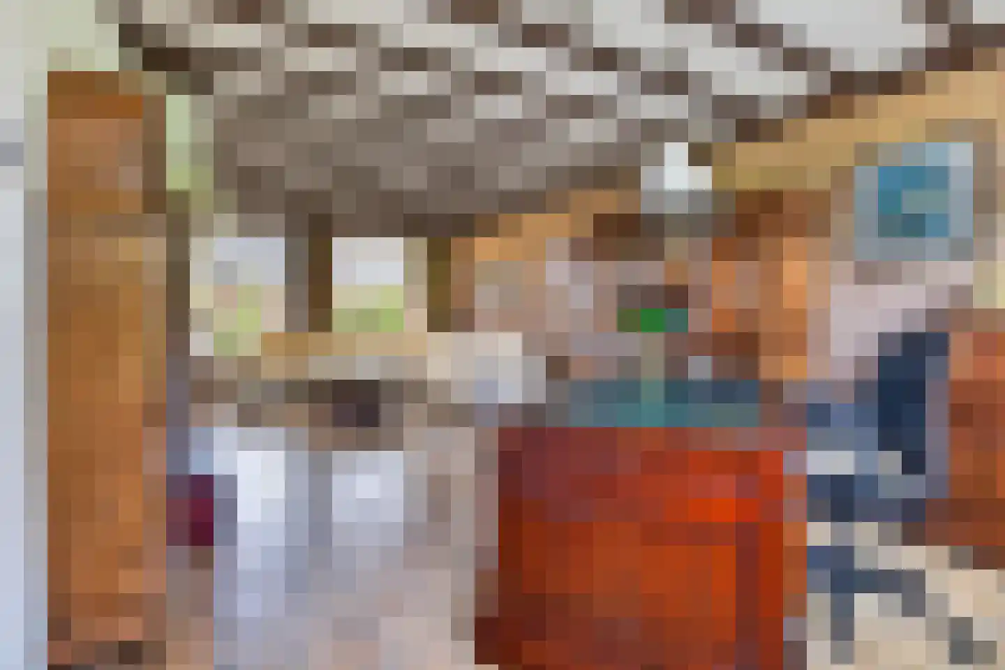 Voortseweg 28 b Eersel thumbnail 13