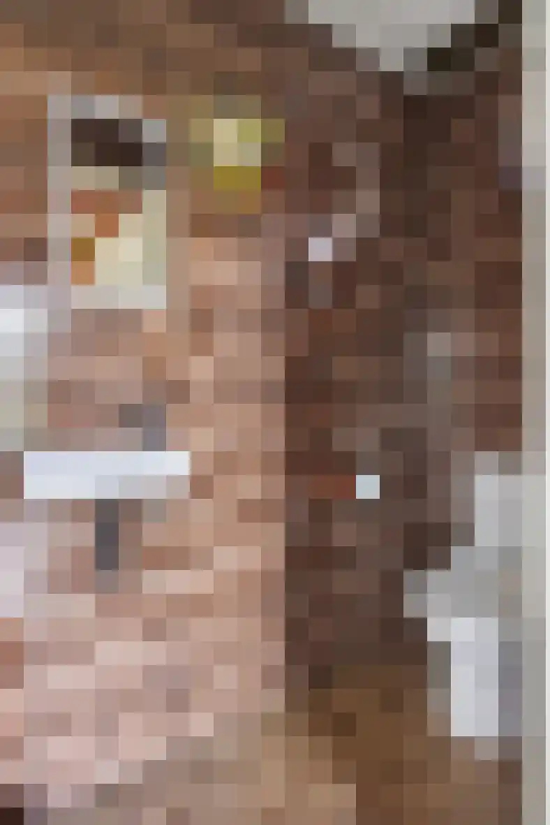 Voortseweg 28 b Eersel thumbnail 17