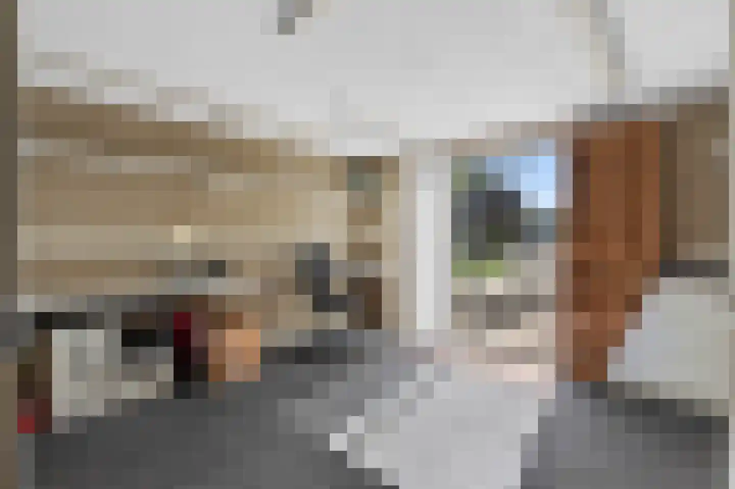 Voortseweg 28 b Eersel thumbnail 18