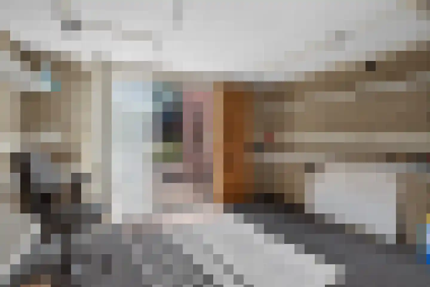 Voortseweg 28 b Eersel thumbnail 20