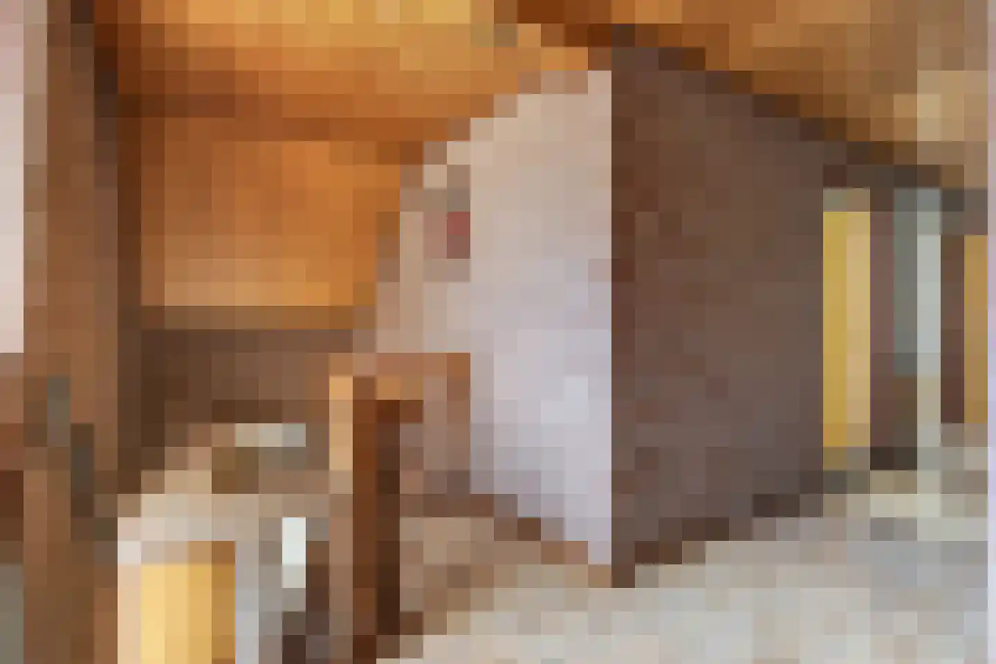 Voortseweg 28 b Eersel thumbnail 21