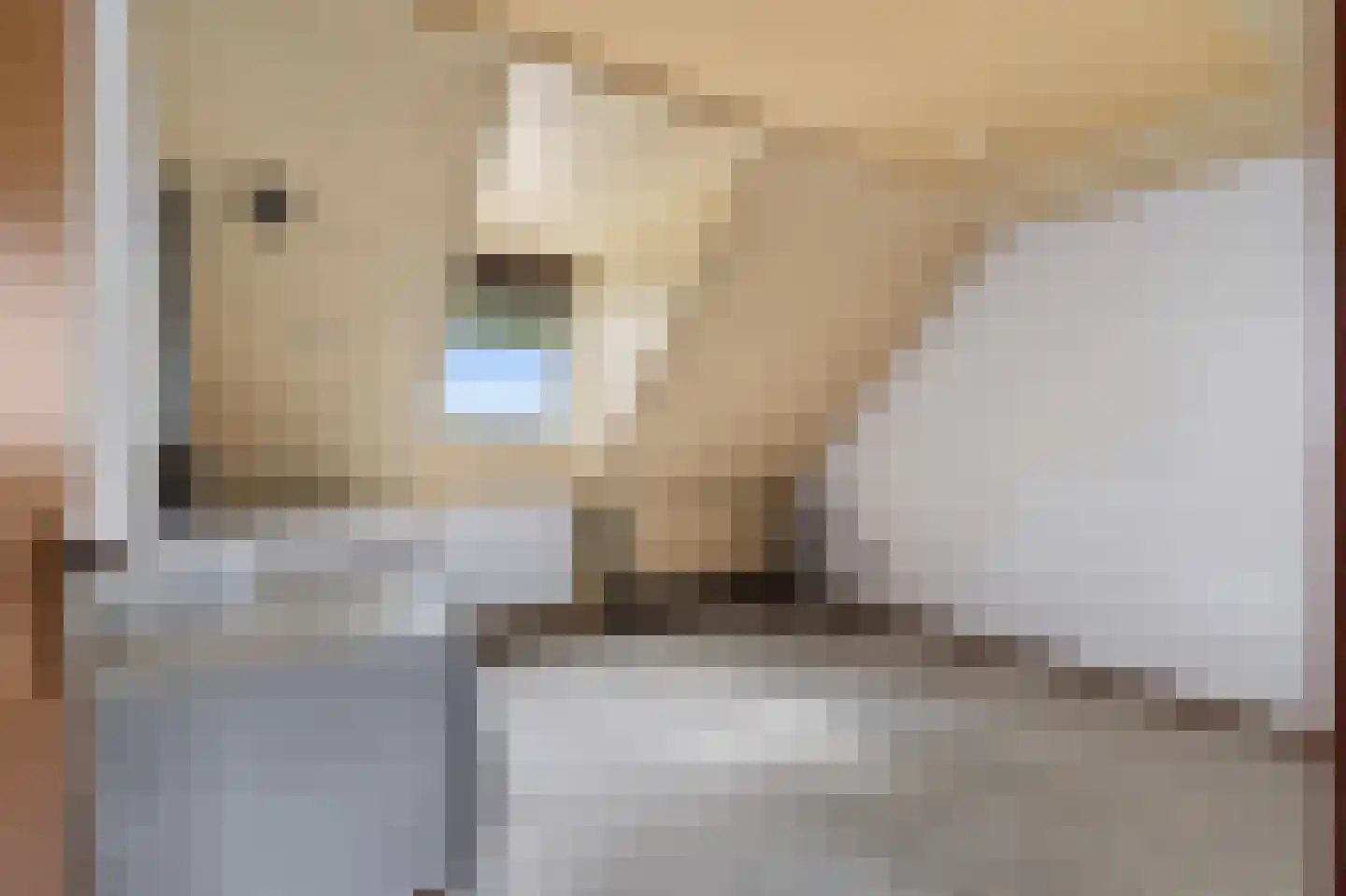 Voortseweg 28 b Eersel thumbnail 23