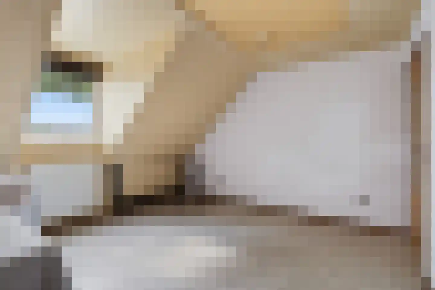 Voortseweg 28 b Eersel thumbnail 24