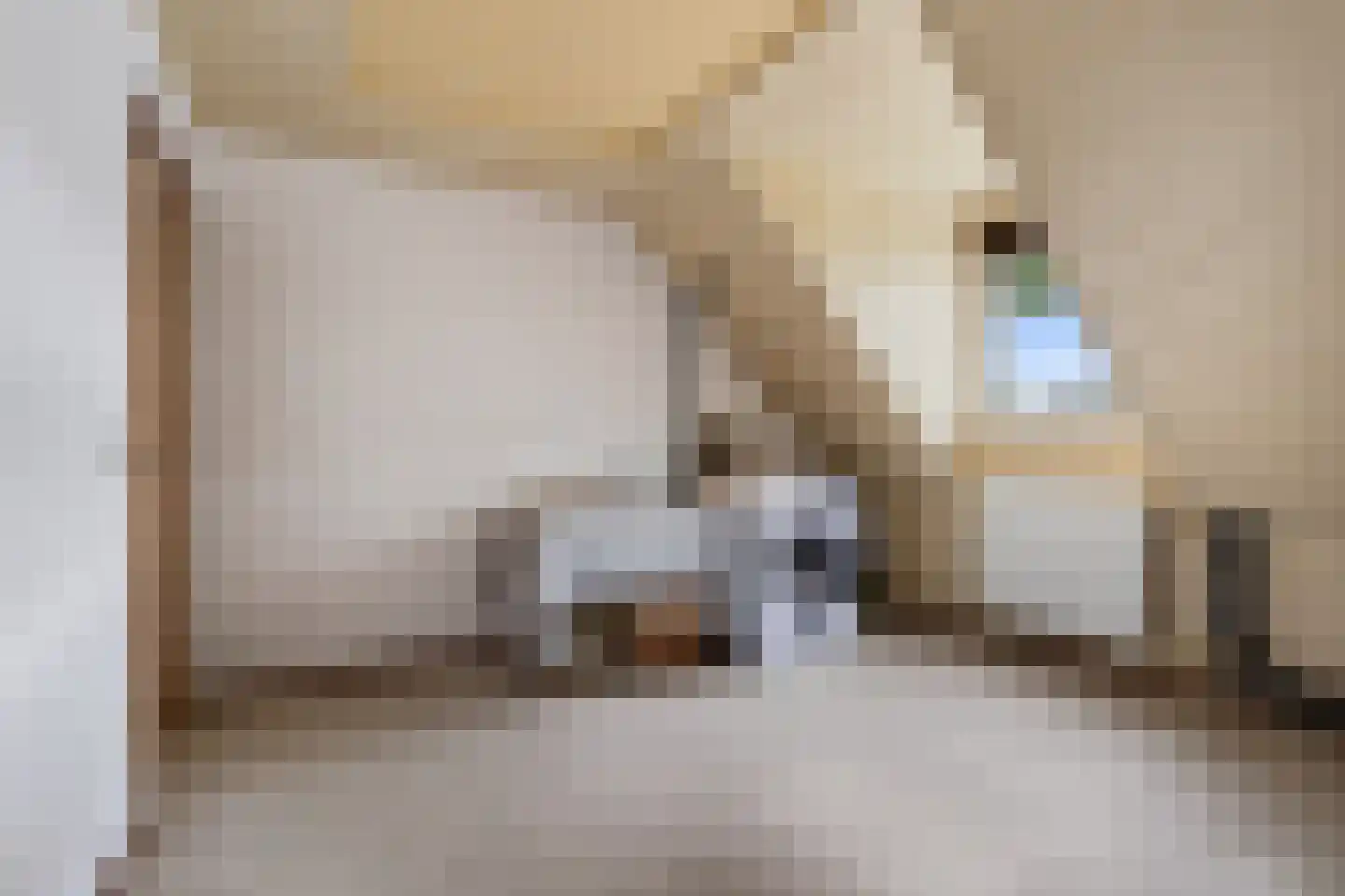 Voortseweg 28 b Eersel thumbnail 25