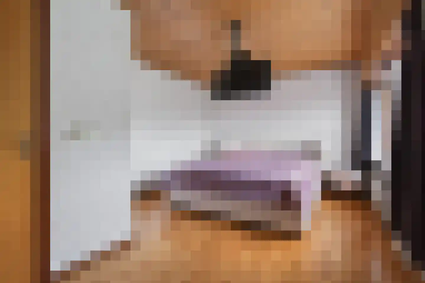 Voortseweg 28 b Eersel thumbnail 32