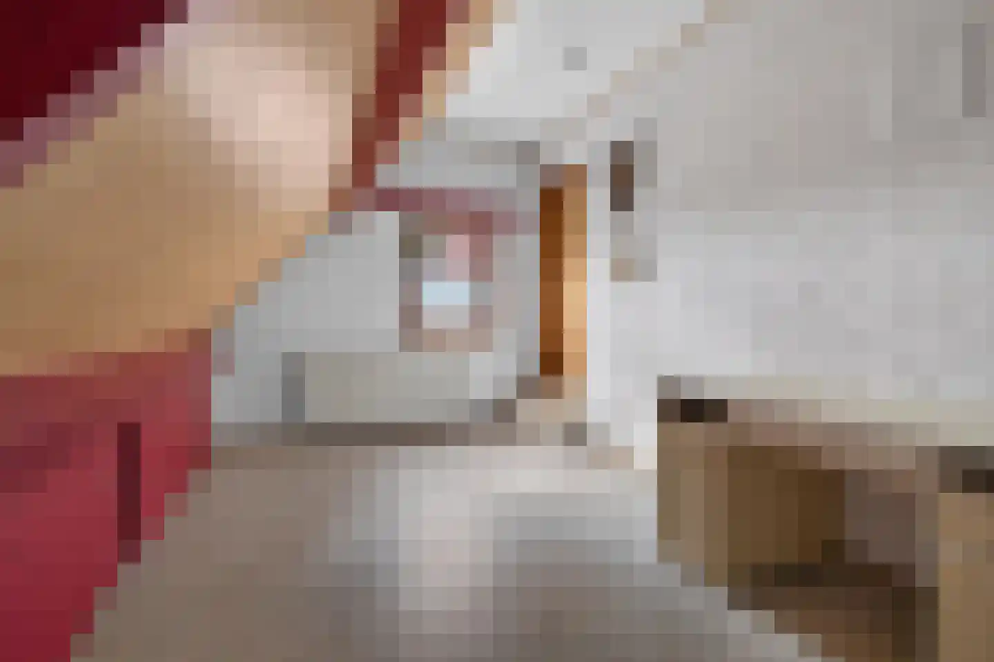Voortseweg 28 b Eersel thumbnail 36