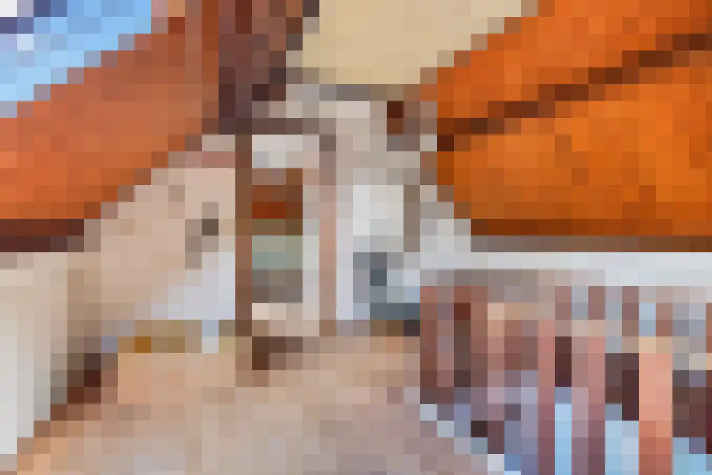 Voortseweg 28 b Eersel thumbnail 37