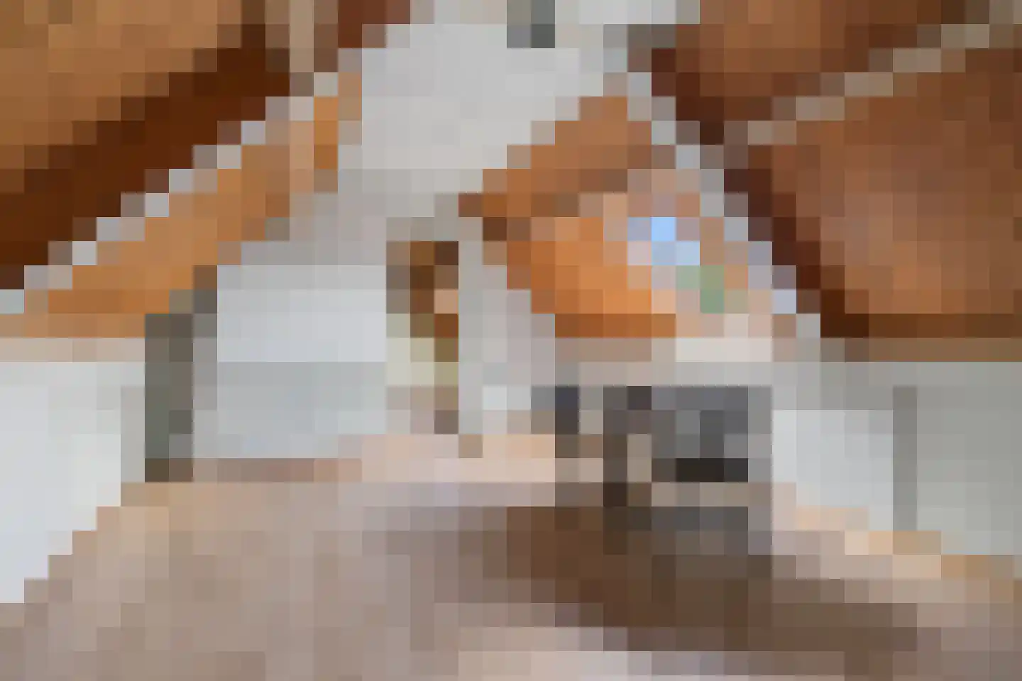 Voortseweg 28 b Eersel thumbnail 38