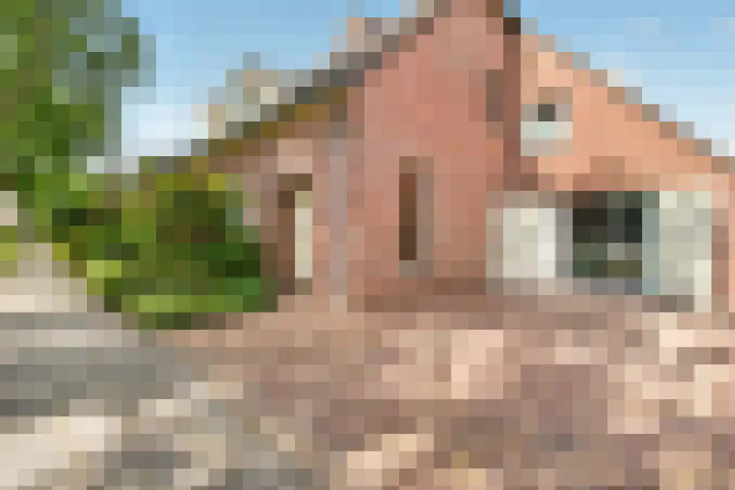 Voortseweg 28 b Eersel thumbnail 40