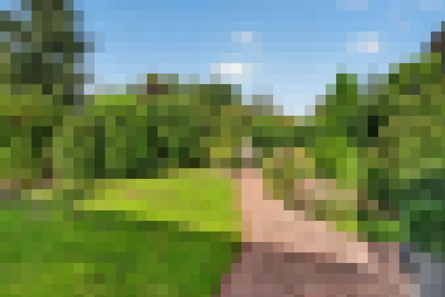 Voortseweg 28 b Eersel thumbnail 42