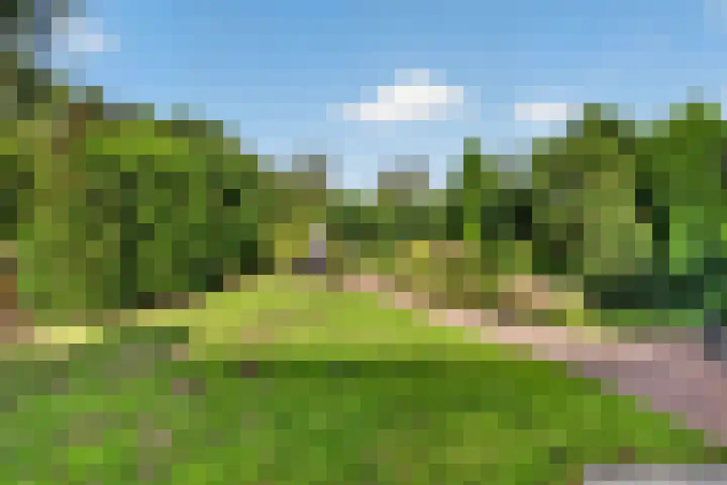 Voortseweg 28 b Eersel thumbnail 43