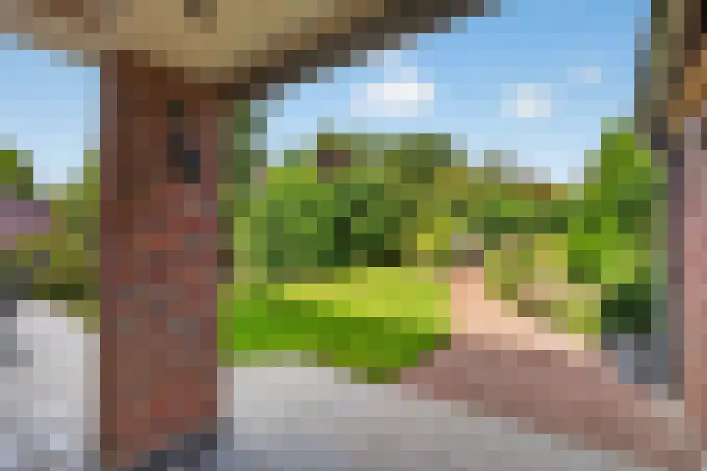 Voortseweg 28 b Eersel thumbnail 45