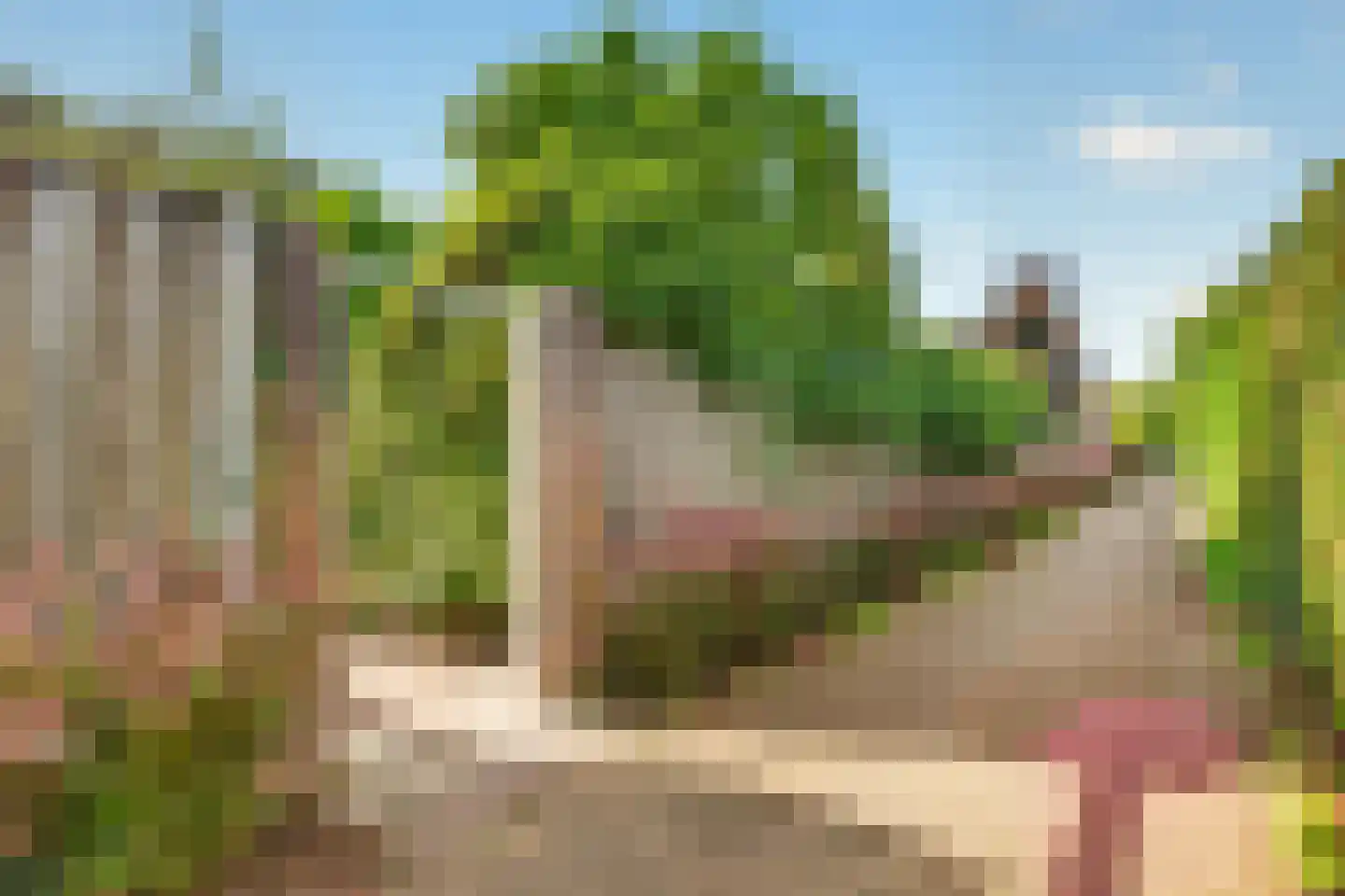 Voortseweg 28 b Eersel thumbnail 49