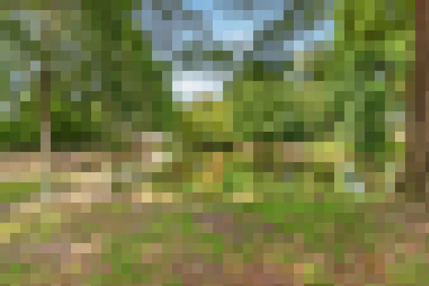 Voortseweg 28 b Eersel thumbnail 51