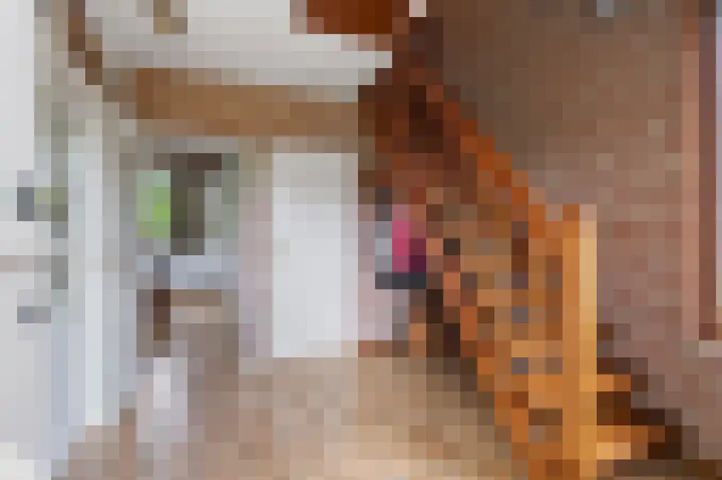 Voortseweg 28 b Eersel thumbnail 6