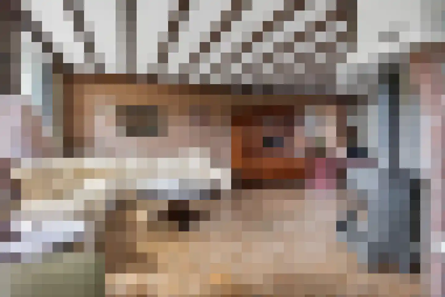 Voortseweg 28 b Eersel thumbnail 9