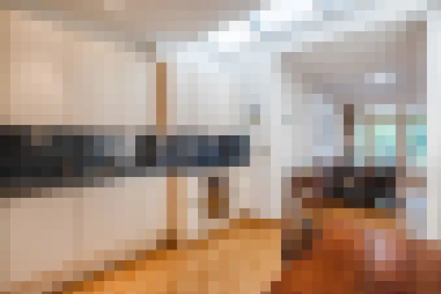 Voortseweg 41 Eersel thumbnail 11