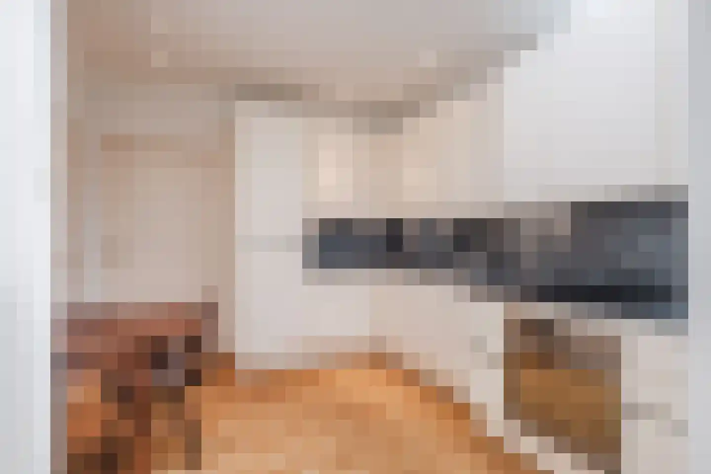 Voortseweg 41 Eersel thumbnail 12