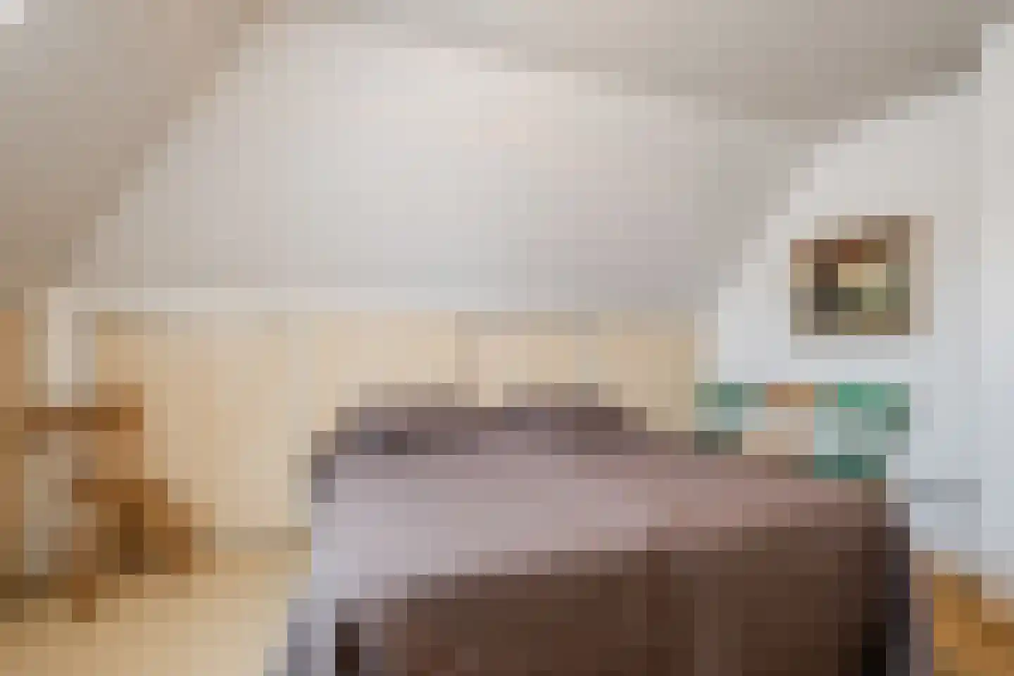 Voortseweg 41 Eersel thumbnail 22