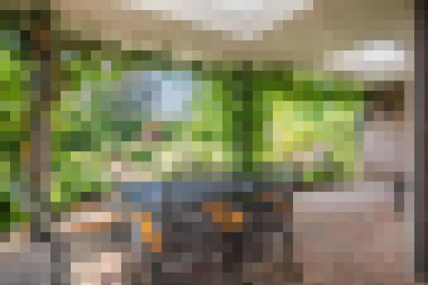 Voortseweg 41 Eersel thumbnail 26