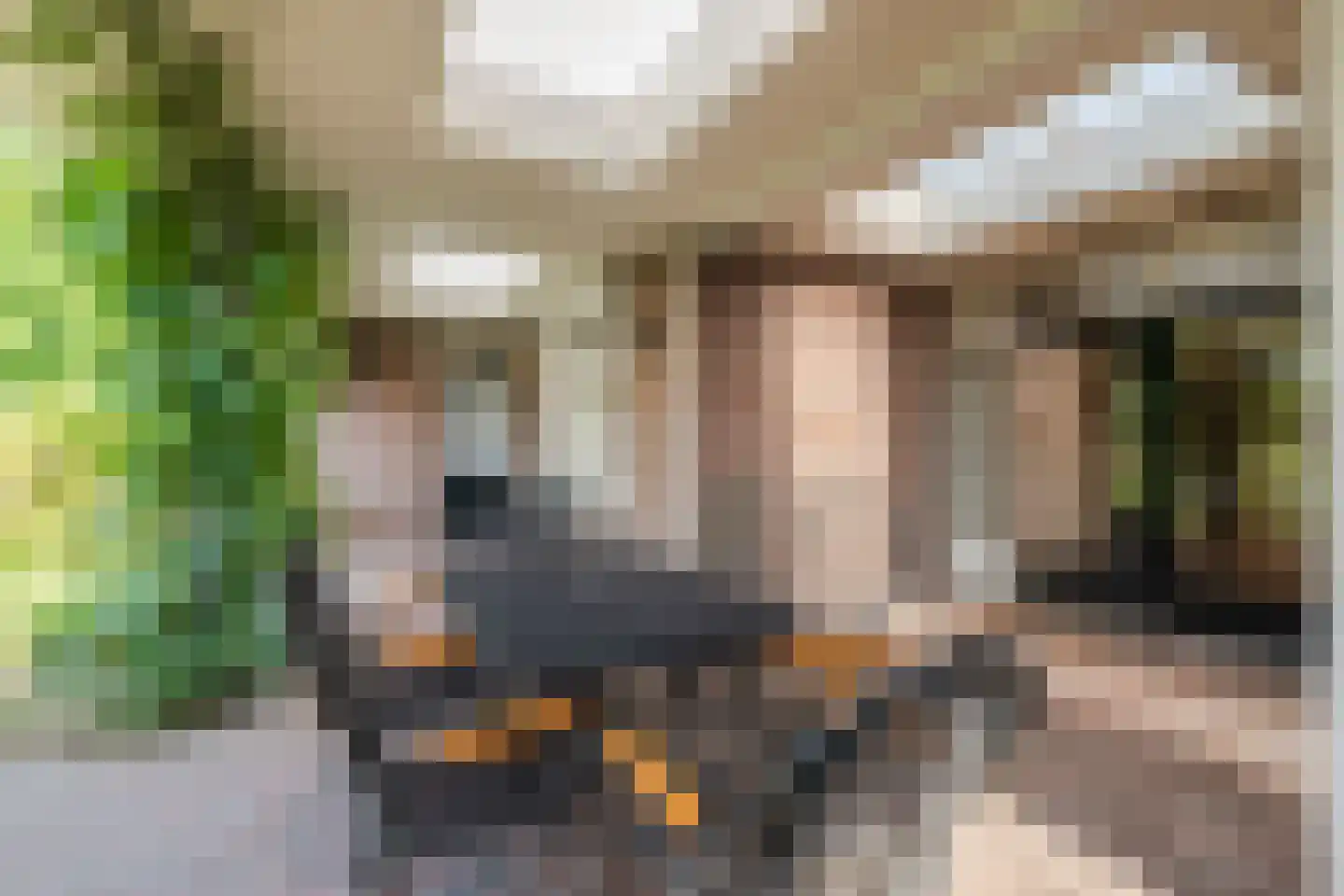 Voortseweg 41 Eersel thumbnail 27