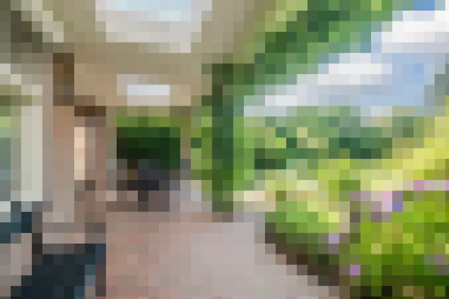 Voortseweg 41 Eersel thumbnail 28