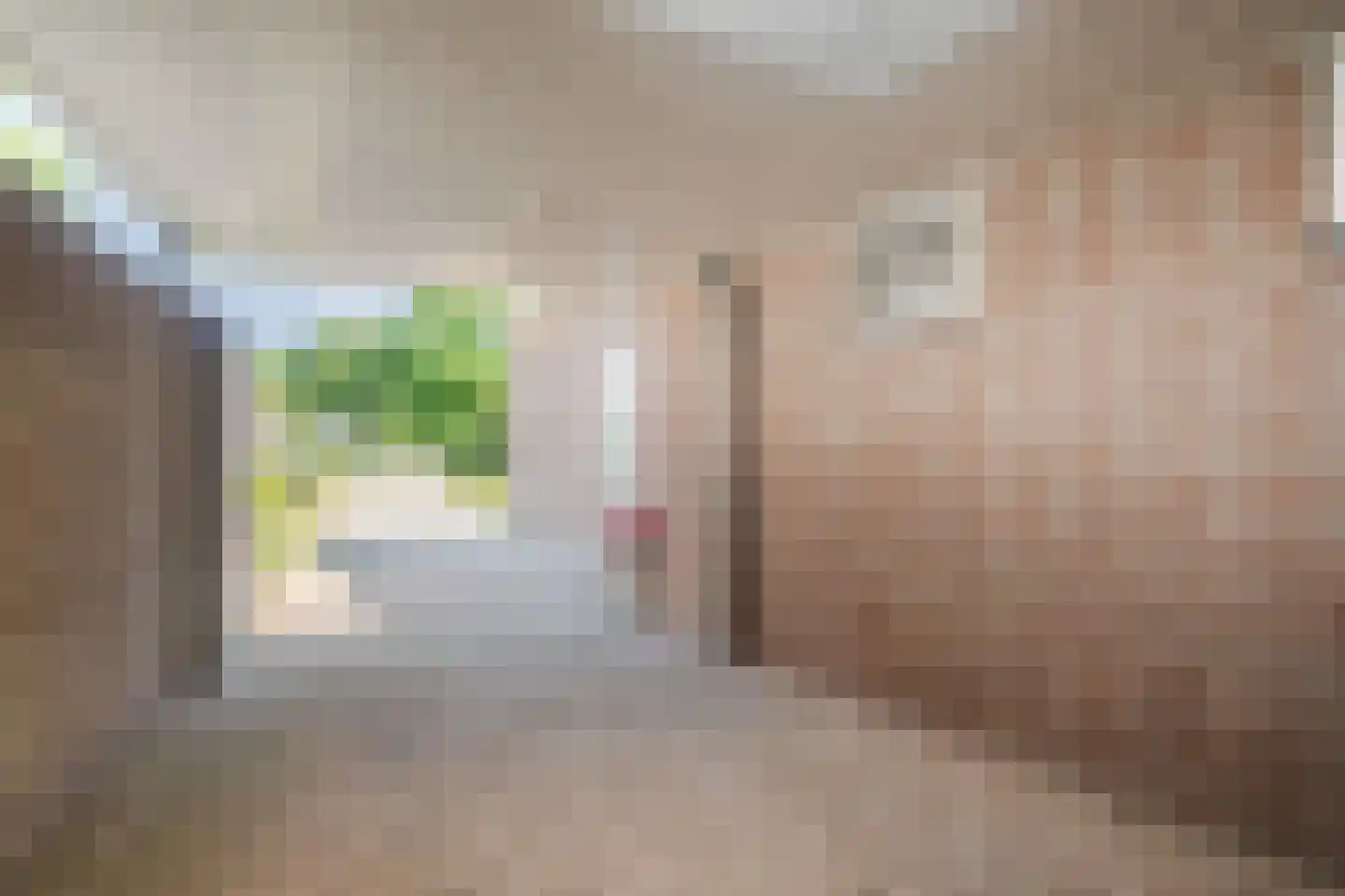 Voortseweg 41 Eersel thumbnail 29