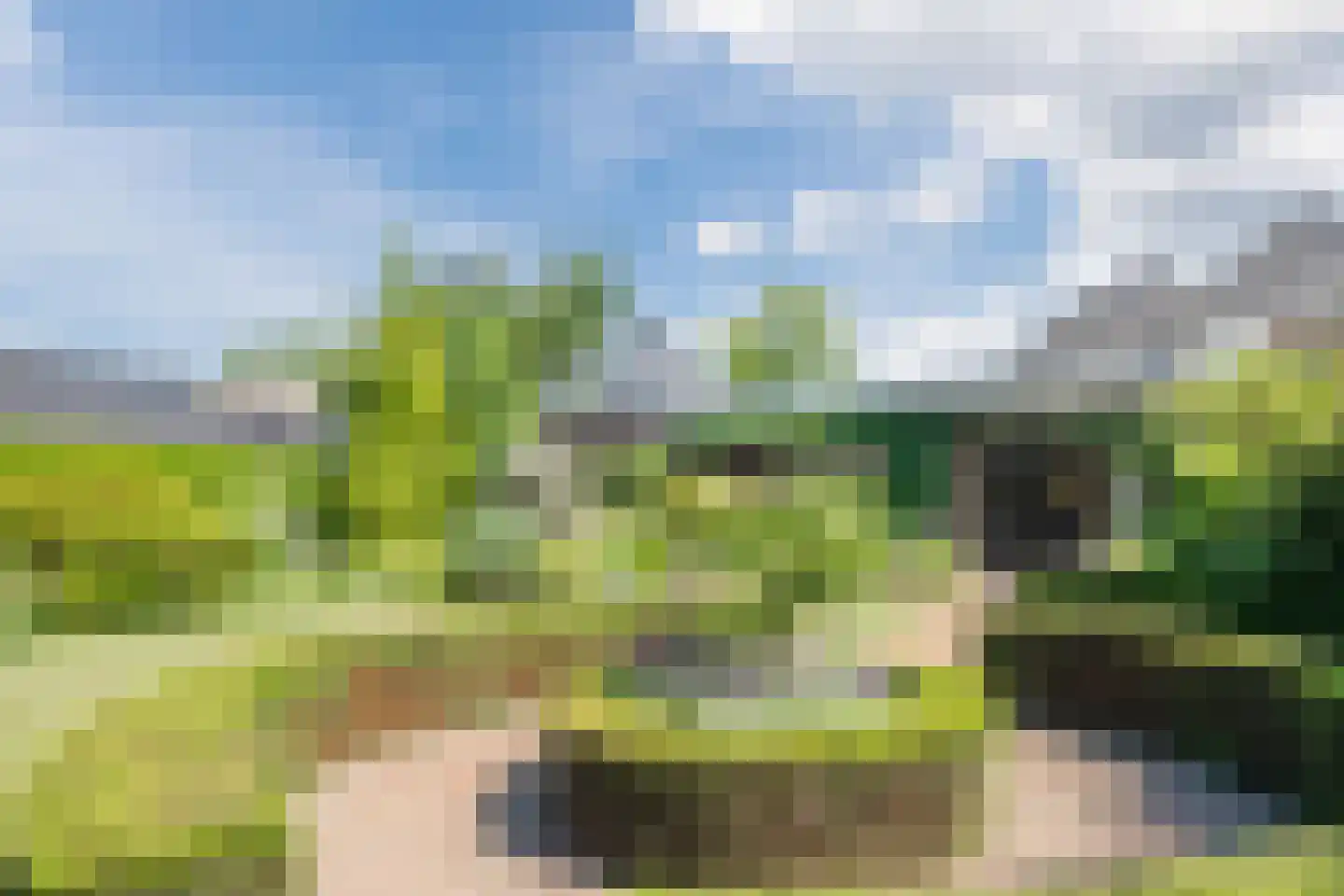 Voortseweg 41 Eersel thumbnail 30