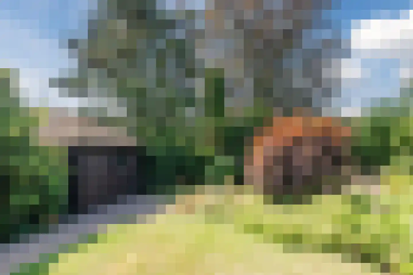 Voortseweg 41 Eersel thumbnail 32
