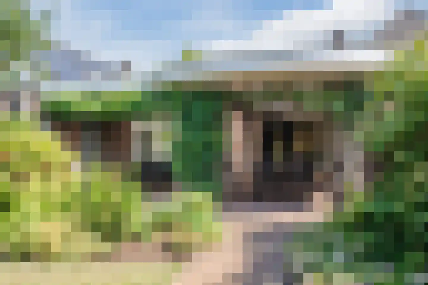Voortseweg 41 Eersel thumbnail 35