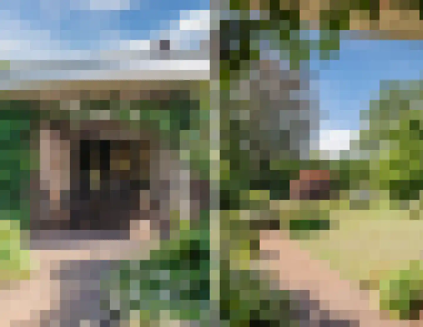 Voortseweg 41 Eersel thumbnail 36