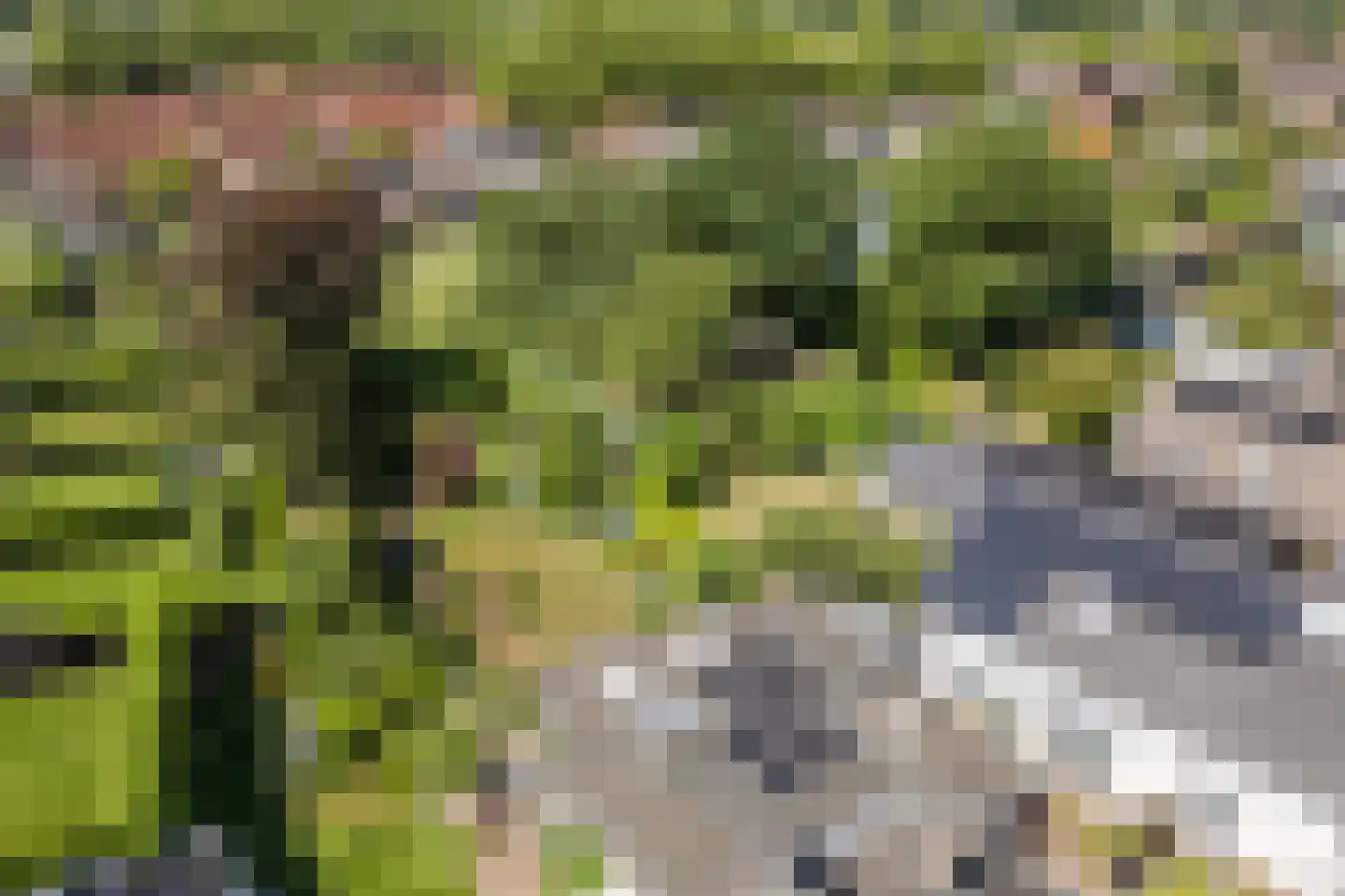 Voortseweg 41 Eersel thumbnail 39