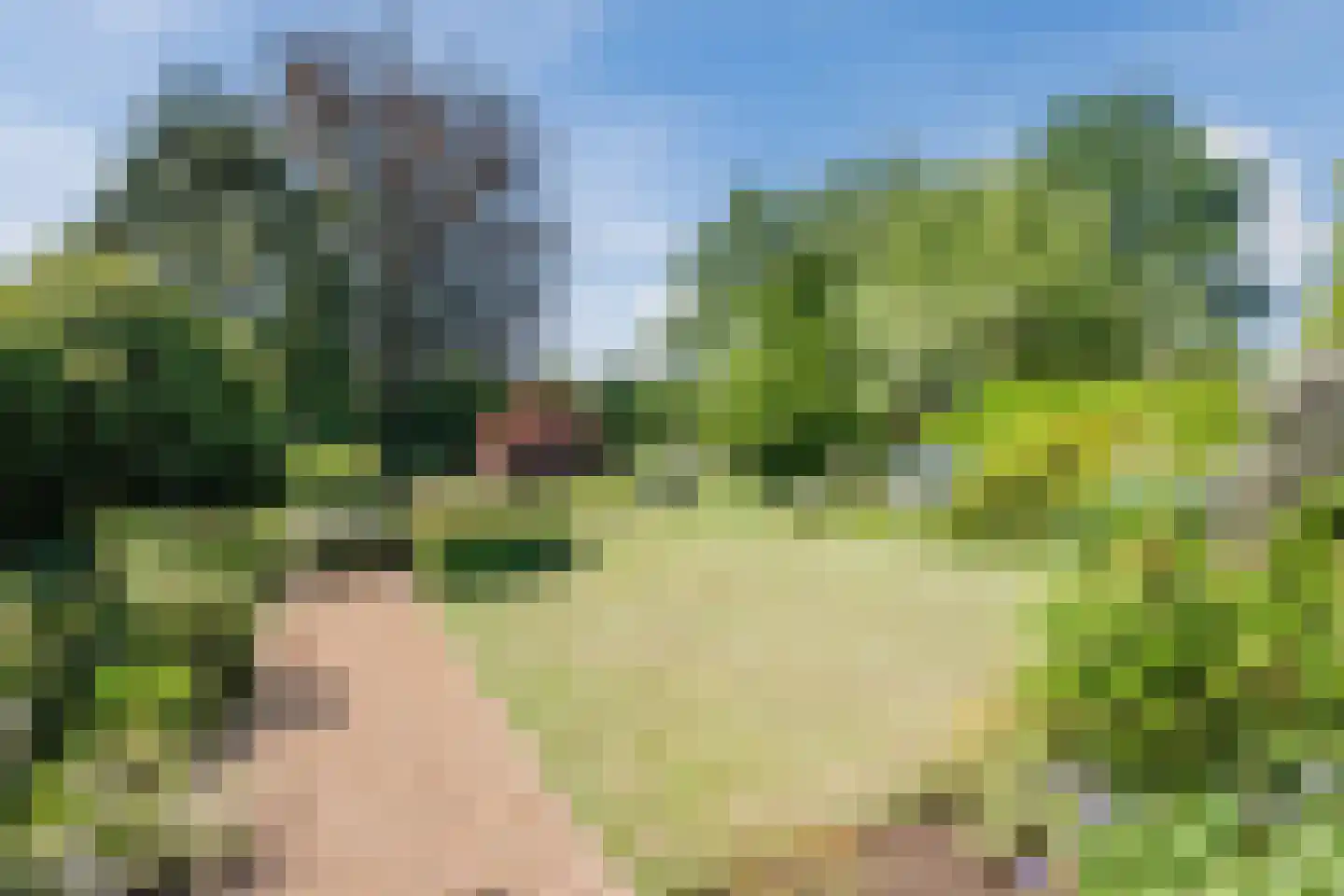 Voortseweg 41 Eersel thumbnail 4