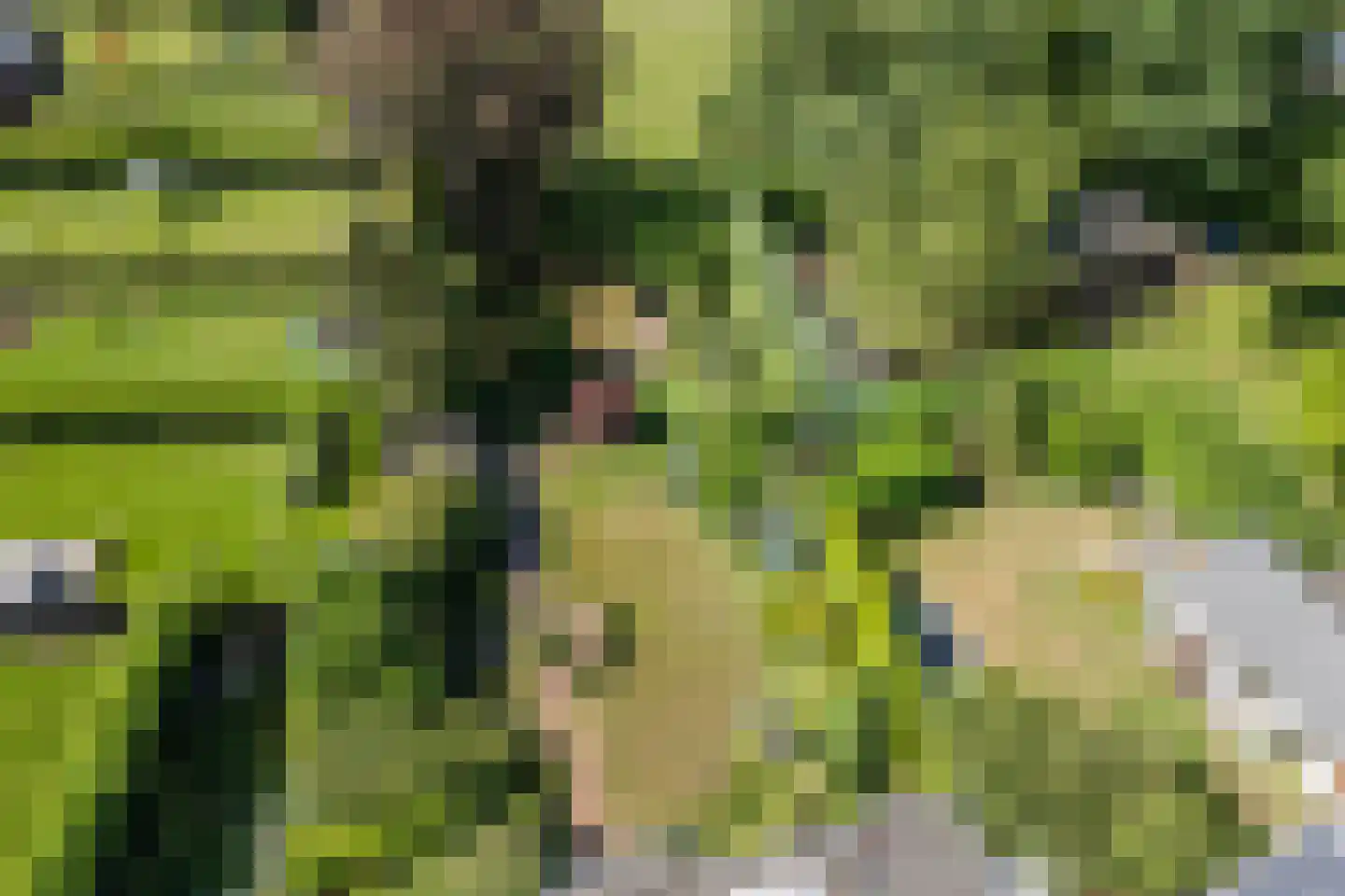 Voortseweg 41 Eersel thumbnail 41