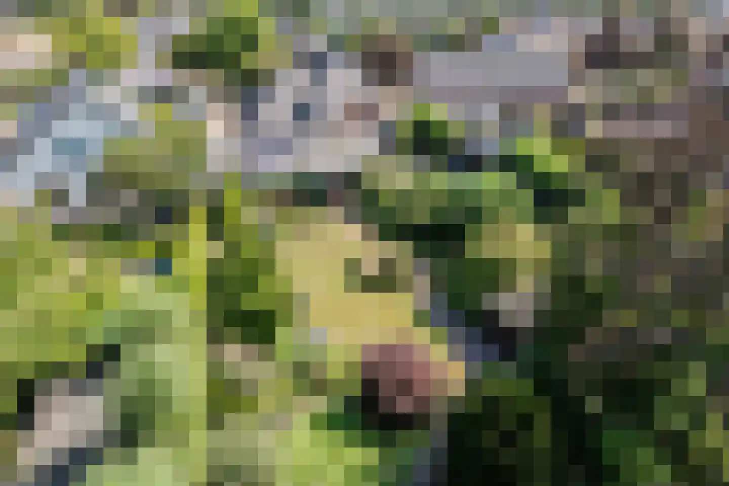 Voortseweg 41 Eersel thumbnail 42