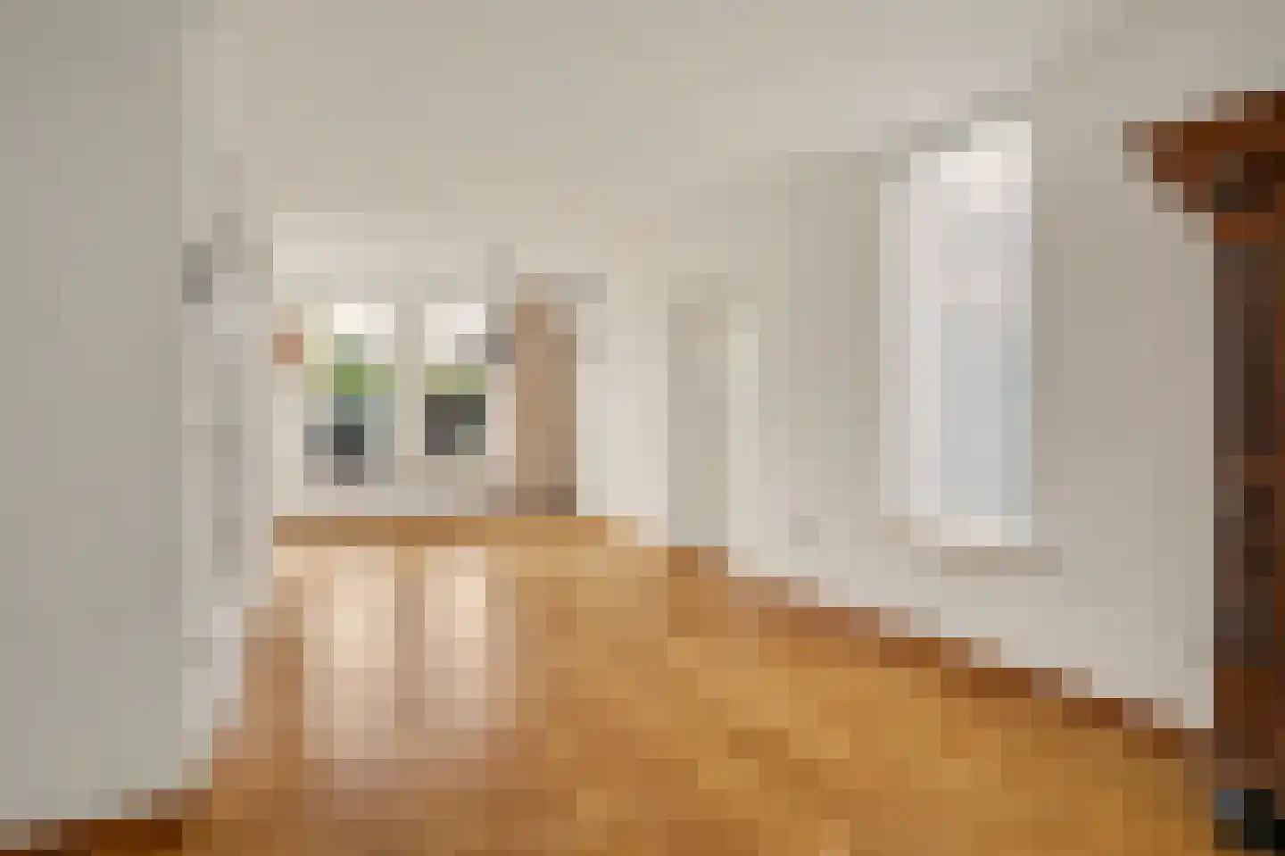 Voortseweg 53 Eersel thumbnail 10