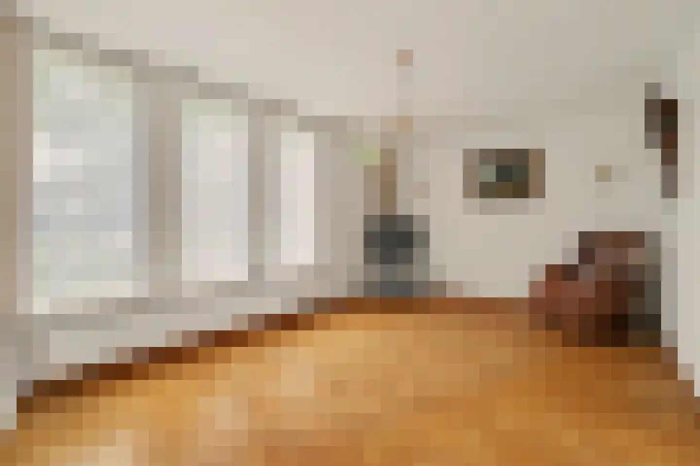 Voortseweg 53 Eersel thumbnail 11