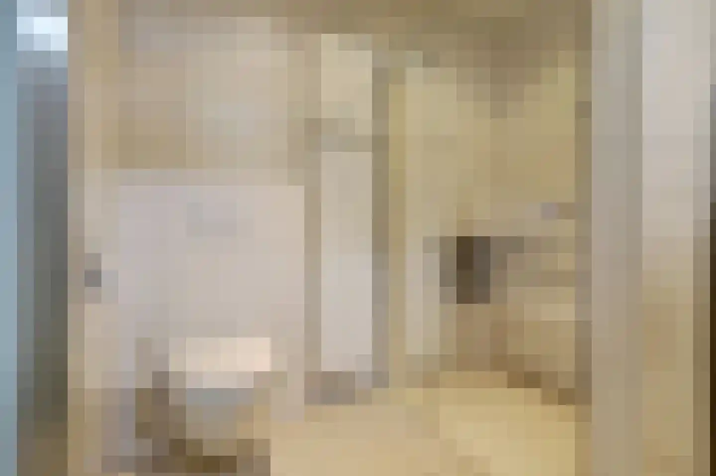 Voortseweg 53 Eersel thumbnail 14