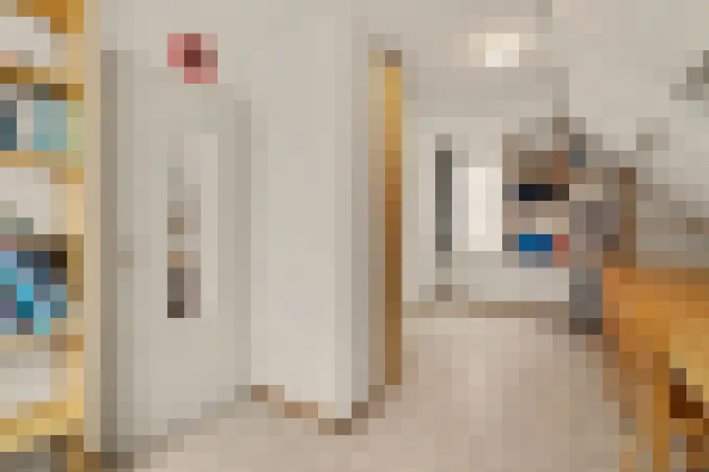 Voortseweg 53 Eersel thumbnail 20