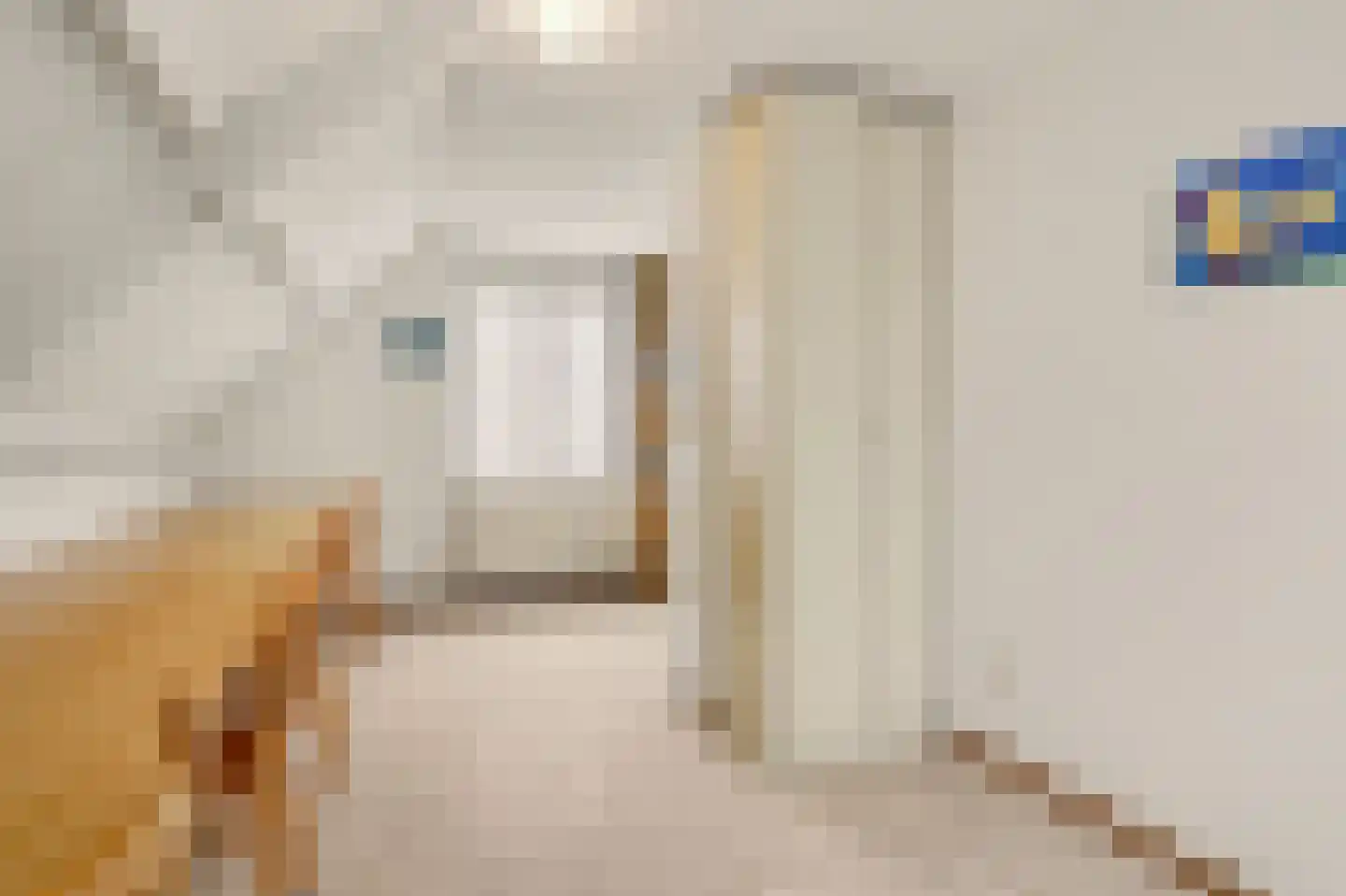 Voortseweg 53 Eersel thumbnail 21