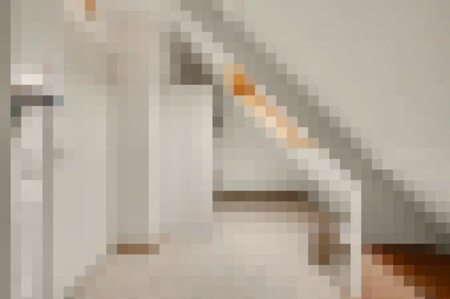 Voortseweg 53 Eersel thumbnail 22