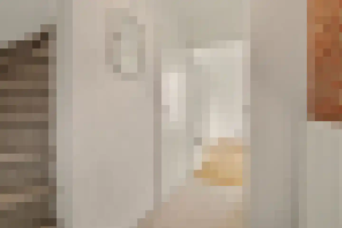 Voortseweg 53 Eersel thumbnail 9