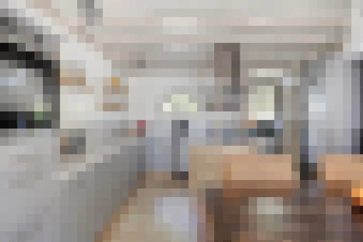 Voortstraat 15 Maasbracht thumbnail 10