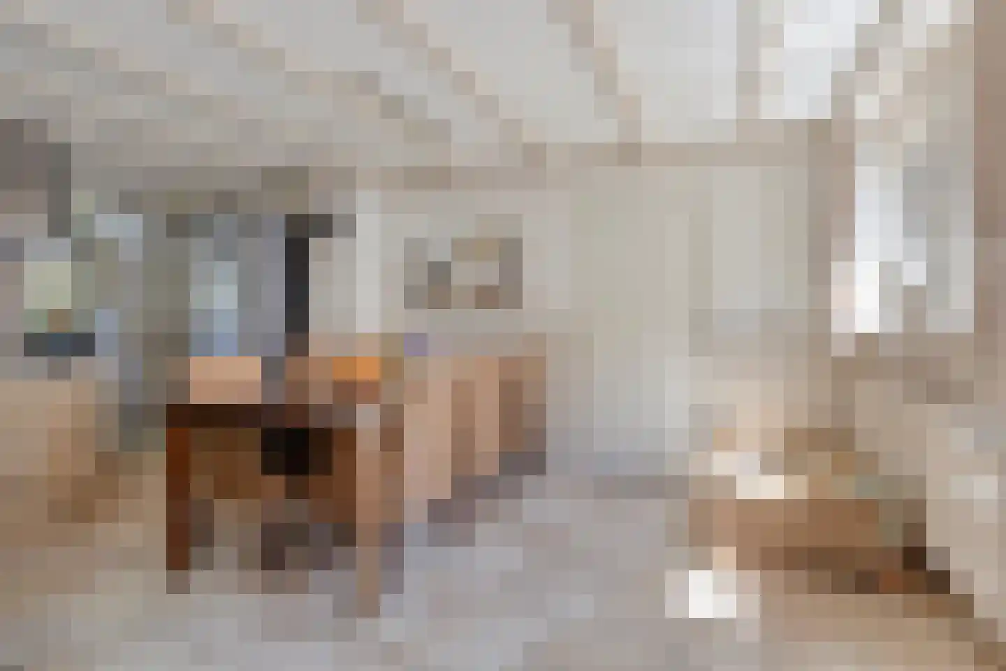 Voortstraat 15 Maasbracht thumbnail 14