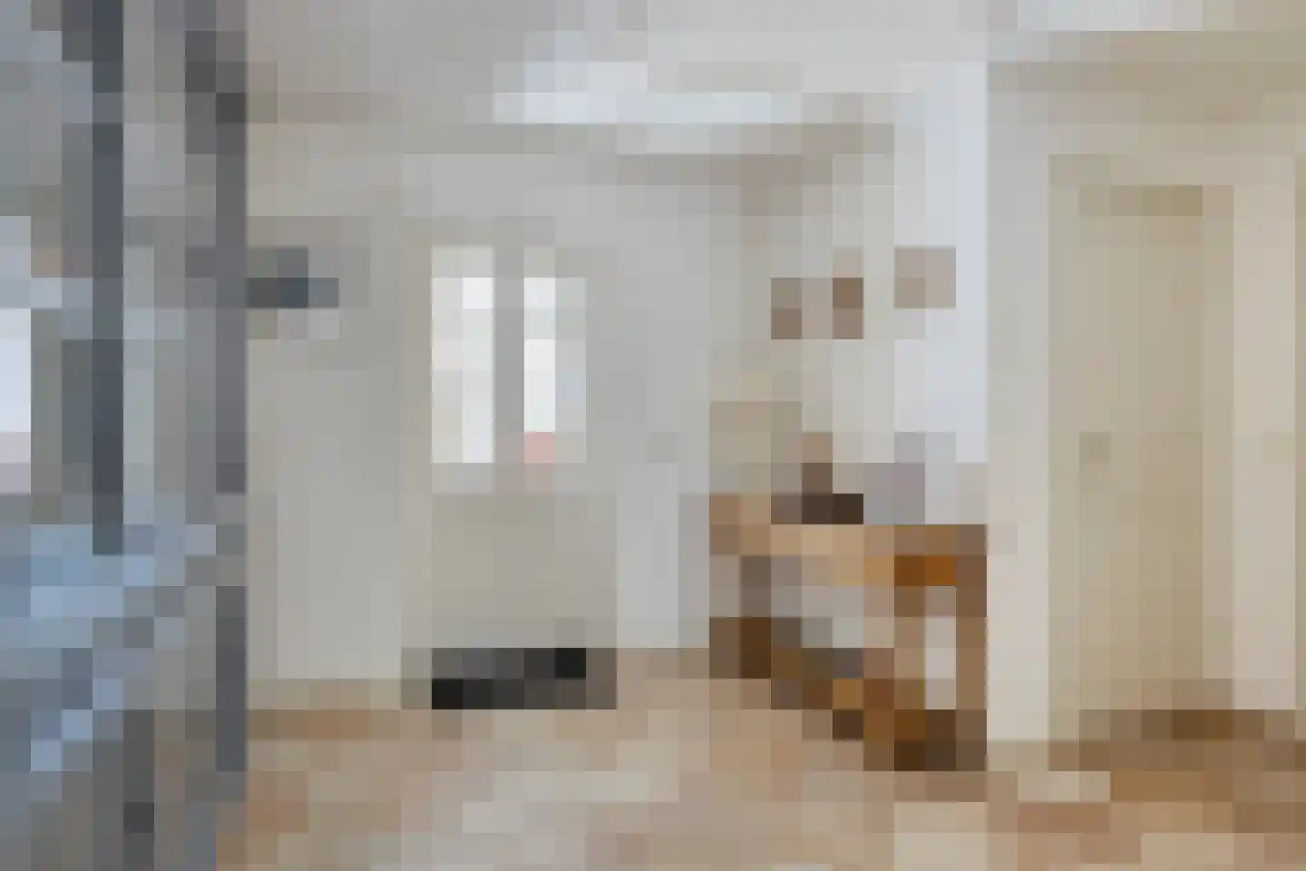 Voortstraat 15 Maasbracht thumbnail 18