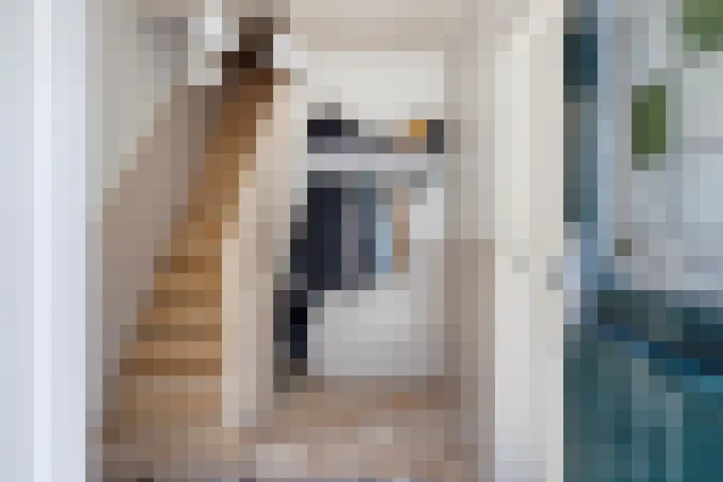 Voortstraat 15 Maasbracht thumbnail 25