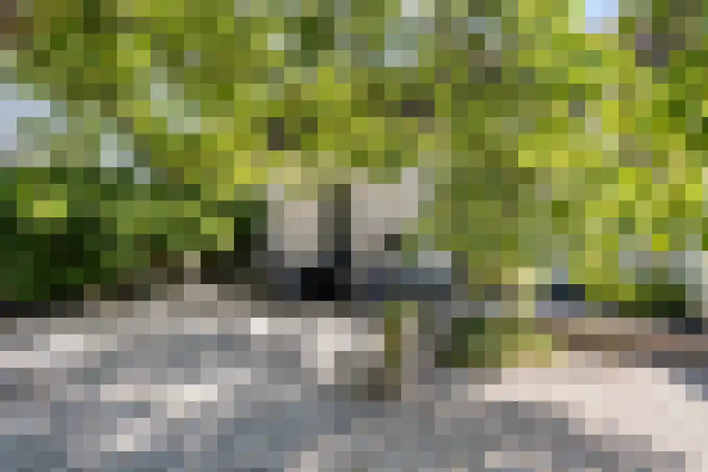 Voortstraat 15 Maasbracht thumbnail 35