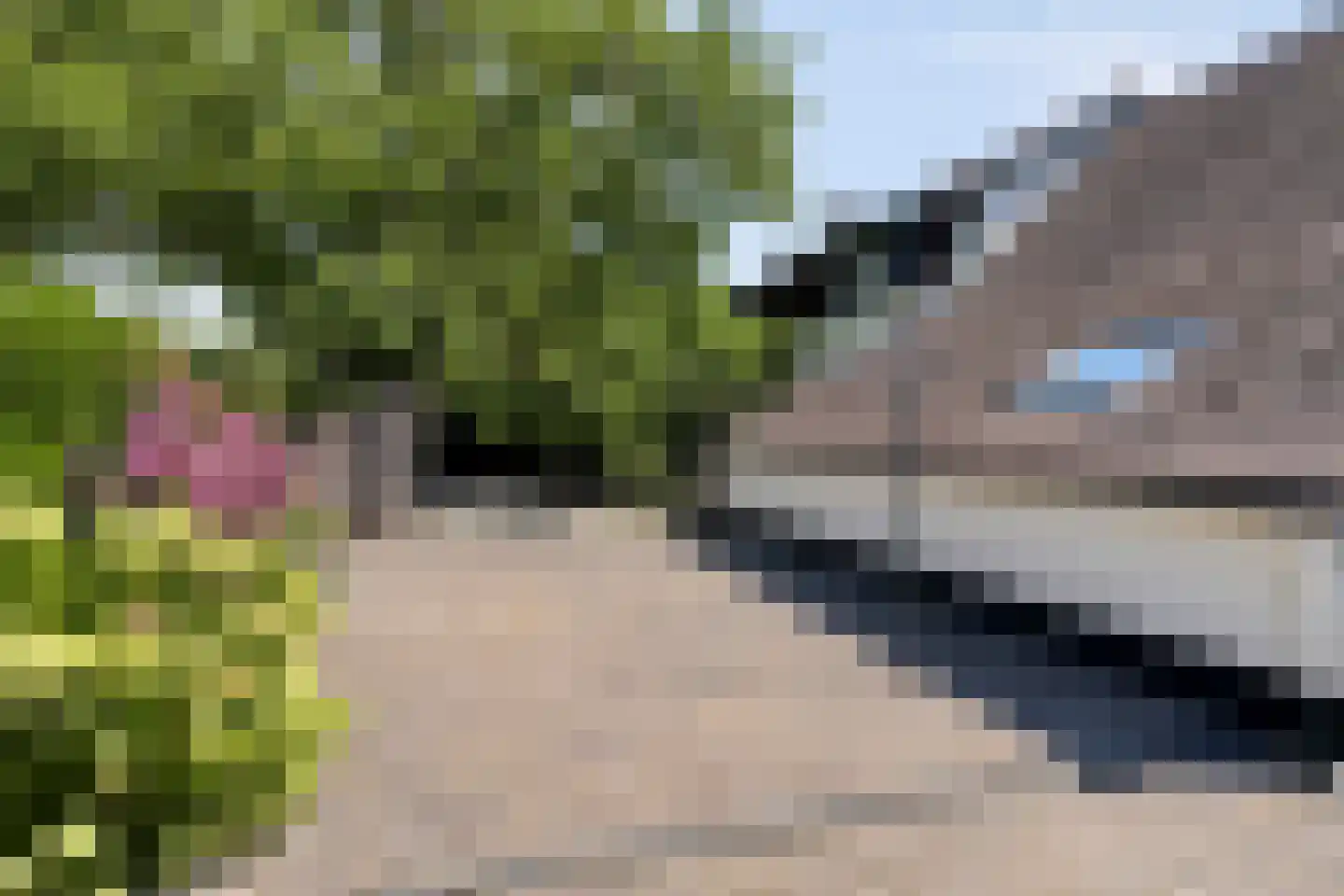 Voortstraat 15 Maasbracht thumbnail 37